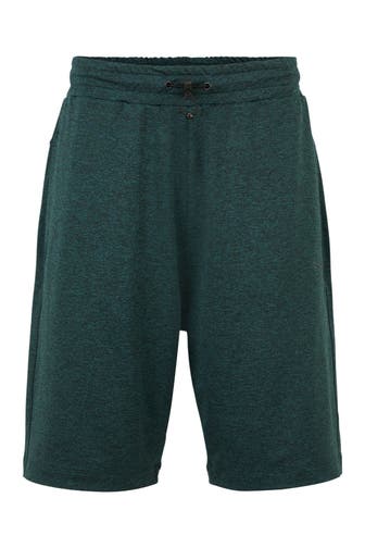 VENICE BEACH Shorts graublau