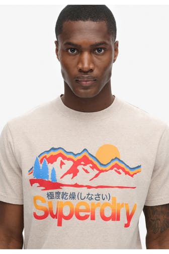 SUPERDRY T-Shirt greige