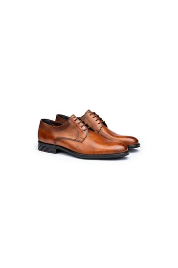 LLOYD Derbys braun