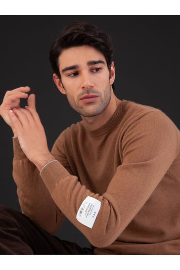 FTC Strickpullover braun