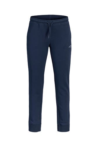 JACK & JONES Sweatpants 'JPSTGordon' navy