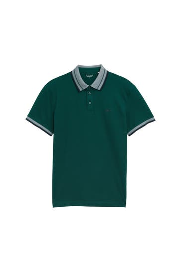 TOM TAILOR Polo-Shirt tannengrün