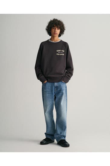 GANT Sweatshirt grau