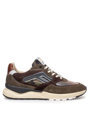 FLORIS VAN BOMMEL Sneaker 'De Treener' mehrfarbig