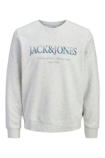 JACK & JONES Sweatshirt 'JJDevin' hellgrau