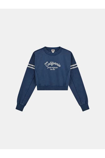 GUESS Sweatshirt graublau