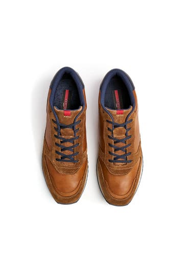 LLOYD Sneaker 'Edmond' cognac