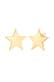 Ohrringe Ohrstecker Stern 925 Sterling Silber Gold