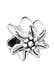 Charm Nenalina Edelweiss Blume 925 Silber