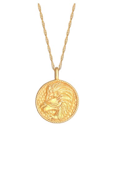 ELLI Kette Sternzeichen Löwe Astro Münze Antik 925 Silber Gold