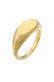Ring Siegelring Oval Glanz Geo Basic Trend 925 Silber Gold