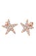 Ohrringe Seestern mit Kristalle funkelnd 925 Sterling Silber Rosegold