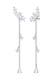 Ohrringe Ohrhänger lang mit Zirkonia Tropfen 925 Sterling Silber Silber
