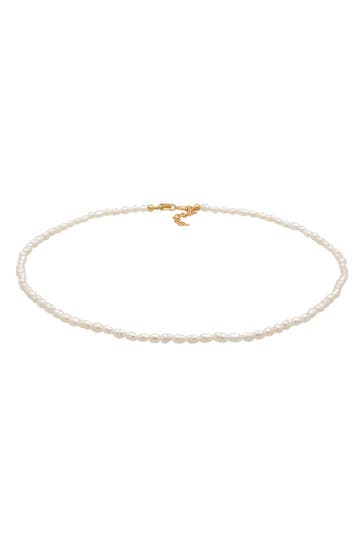 ELLI PREMIUM Kette Choker Süßwasserperlen Klassik 925 Silber Gold