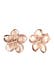 Ohrringe Frangipani Blüte Blume Filigran 925 Silber Rosegold