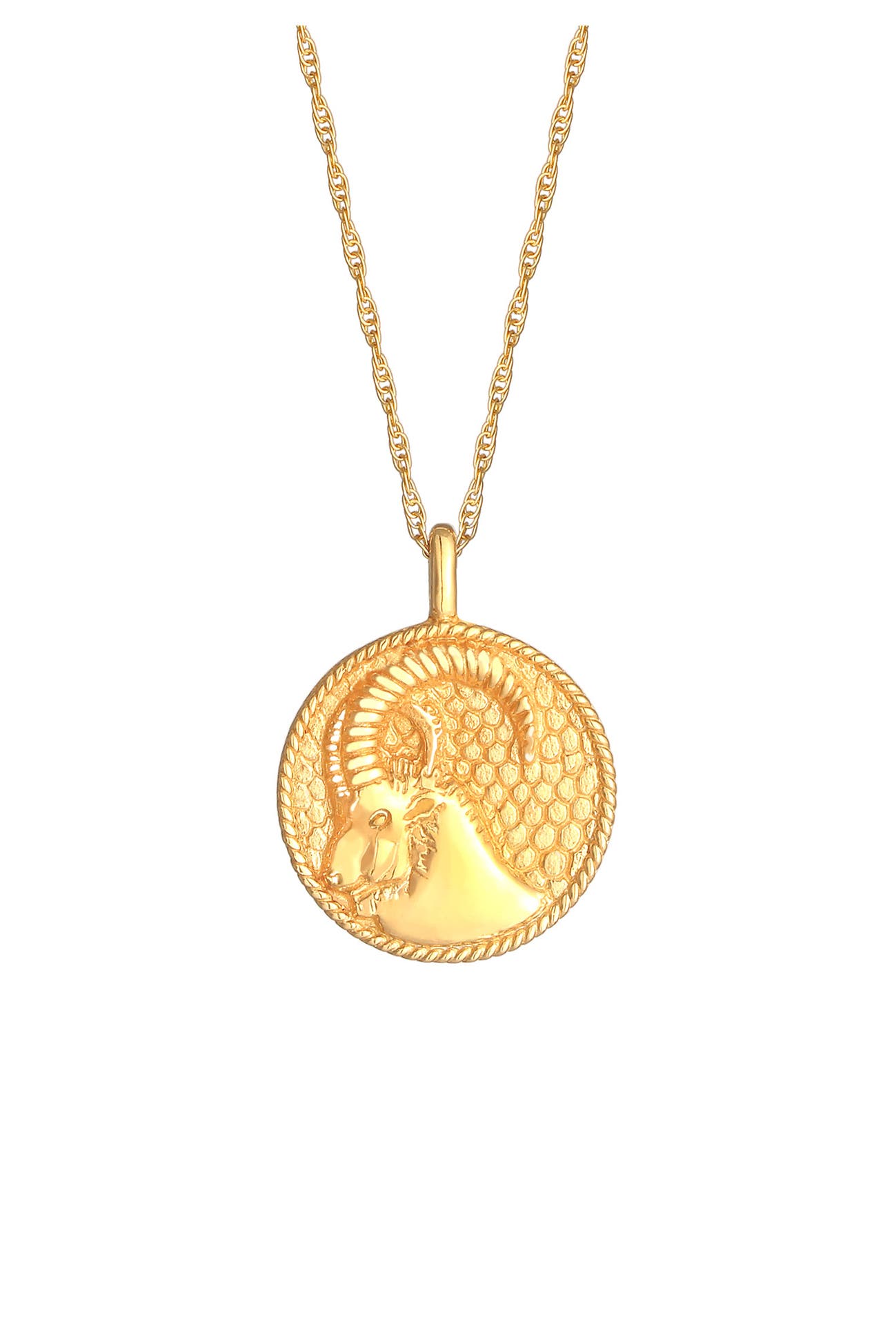 ELLI Kette Sternzeichen Steinbock Astro Münze 925 Silber Gold, Bild 1