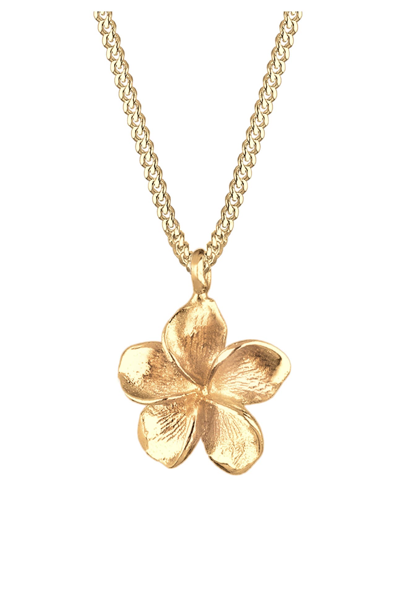 ELLI Kette Frangipani Blüte 925 Silber Gold, Bild 1