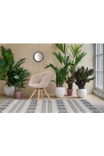 KAYOOM Stuhl Chadwick 110 2er-Set