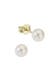 Ohrringe Gold 333 Perle weiß 5-5,5mm gelb
