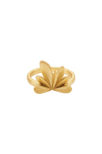 HEIDEMAN Ring Nieke goldfarben goldfarben