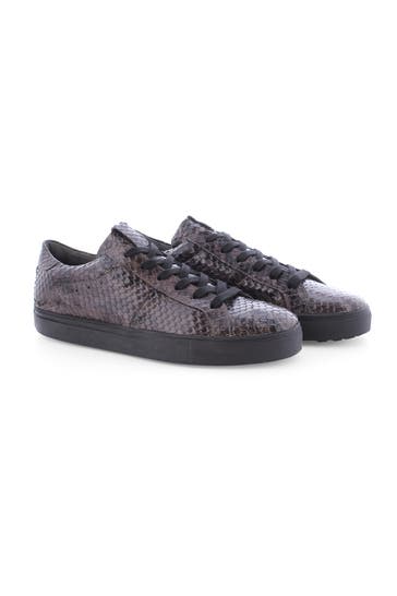 KENNEL & SCHMENGER Sneaker BASKET MAN Taupe