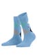 bleue (6543)