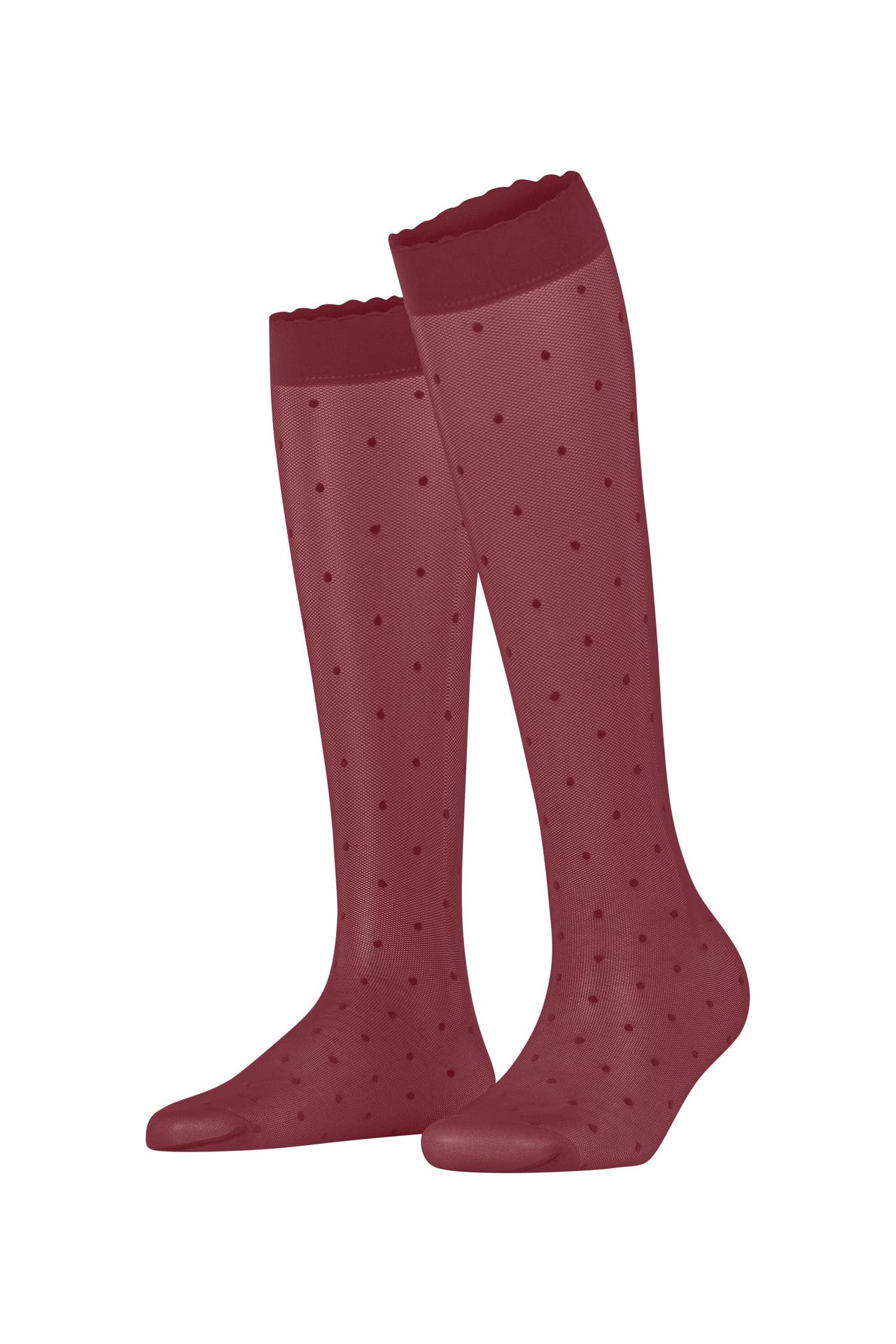 FALKE Socken Dot ruby (8830), Bild 1