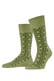 ferngreen (7084)