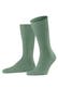 sage (7538)