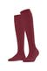 ruby (8830)
