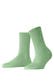 quiet green (7378)