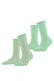 mint (7537)