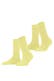 daffodil (1253)