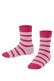 fuchsia (8856)