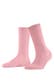 flamingo (8402)