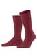 ruby (8830)
