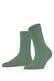 sage (7538)