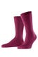 merlot (8005)