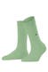 persian green (7377)