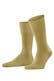 olive (7298)
