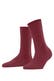ruby (8830)