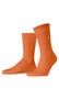 carrot orange (8951)
