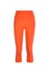 Tight coral (8017)