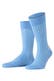cornflower blue (6554)