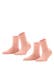 wild rose (8803)