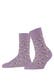 misty lila (8972)