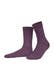 all plum