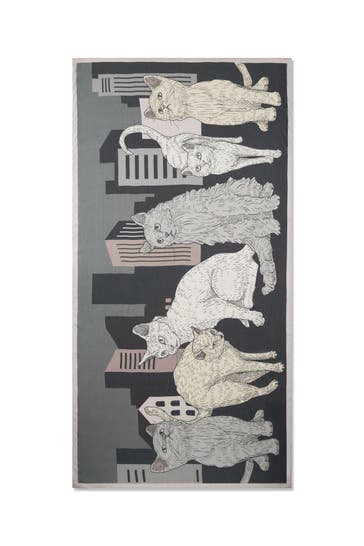 CODELLO Schal schwarz