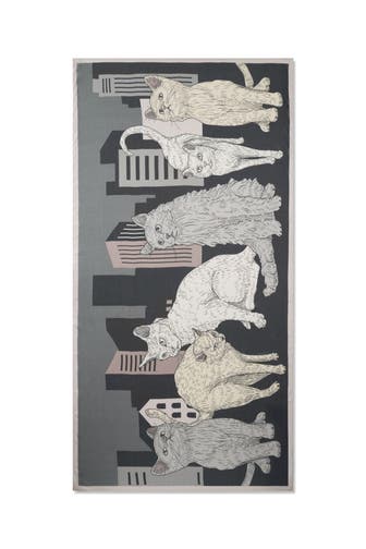 CODELLO Schal schwarz