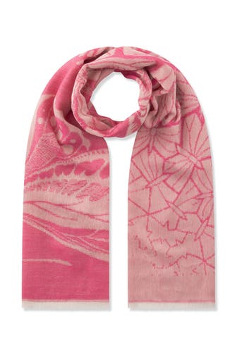 CODELLO Schal pink